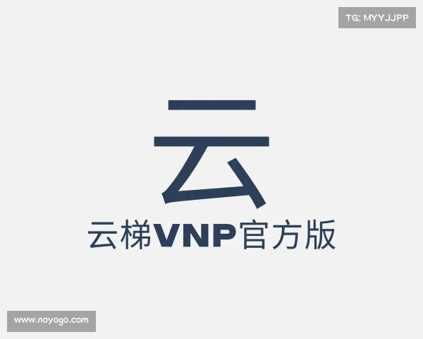 关于云梯vnp官方版